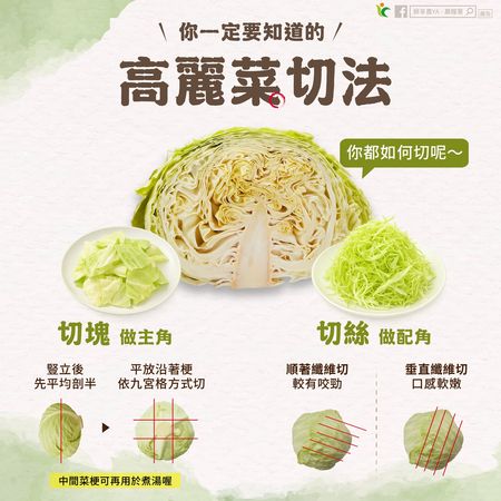 高麗菜,料理,切法,切塊,切絲,國民蔬菜(圖/翻攝自「鮮享農 YA-農糧署」臉書)