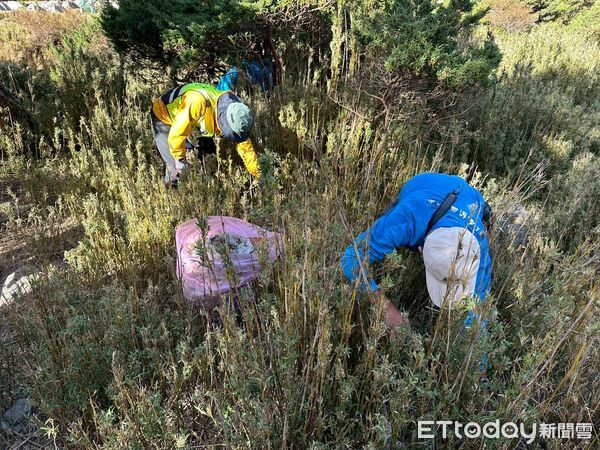 ▲▼清出廢棄物中還發現1個家用大型瓦斯鋼瓶,直讓參與淨山的山友們說太誇張了。(圖/太管處提供,下同)