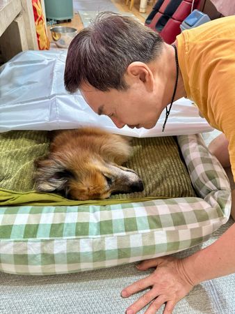 ▲▼待如親生女兒!楊懷民毛孩突病逝 淚曝最後互動。(圖/翻攝自臉書)