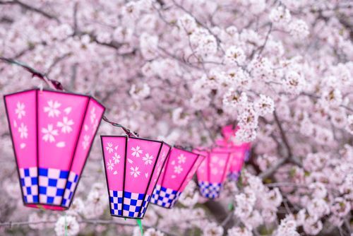 ▲▼ 歌詩達郵輪,莎倫娜號,2026,春季,日韓,郵輪,假期,旅遊。(圖/歌詩達郵輪、shutterstock)