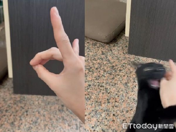 ▲(圖/網友Threads@haru_no.09提供,請勿隨意翻拍,以免侵權。)