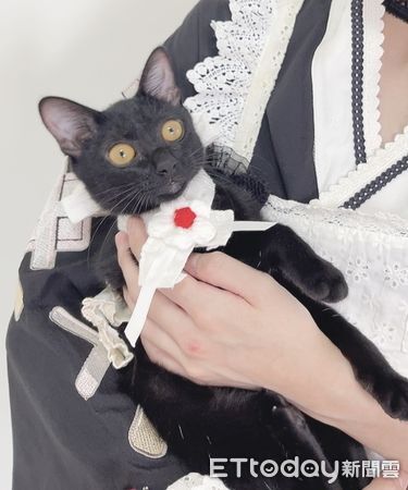 ▲(圖/網友Threads@haru_no.09提供,請勿隨意翻拍,以免侵權。)