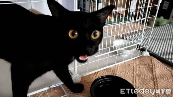 ▲(圖/網友Threads@haru_no.09提供,請勿隨意翻拍,以免侵權。)