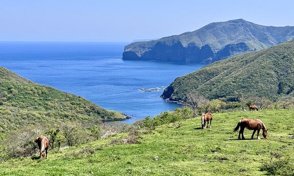 ▲▼日本島根隱岐島美食「Chez SAWA」,隱世小島隱世之味。(圖/部落客小虎提供)