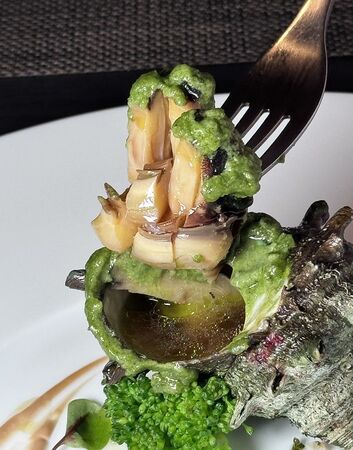 ▲▼日本島根隱岐島美食「Chez SAWA」,隱世小島隱世之味。(圖/部落客小虎提供)