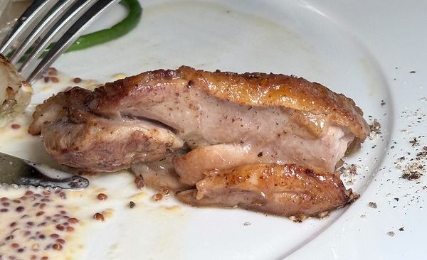 ▲▼日本島根隱岐島美食「Chez SAWA」,隱世小島隱世之味。(圖/部落客小虎提供)