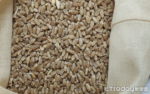 食藥署10/14邊境查驗。(圖/食藥署提供)