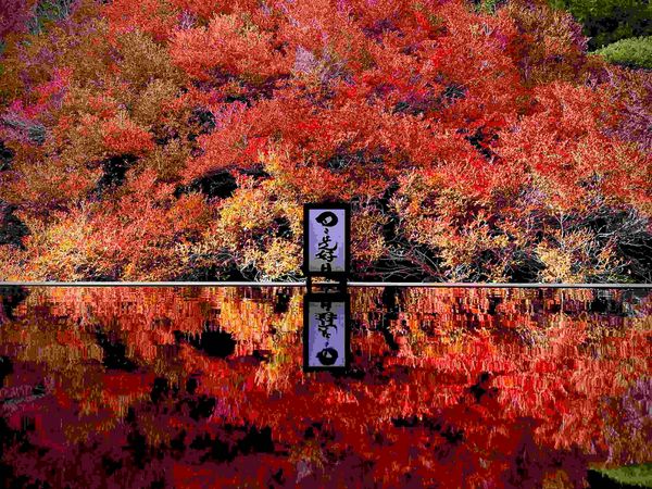 ▲▼城崎溫泉周邊賞楓景點。(圖/豐岡市台灣推廣事務所提供)