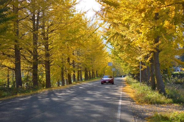 ▲▼城崎溫泉周邊賞楓景點。(圖/豐岡市台灣推廣事務所提供)