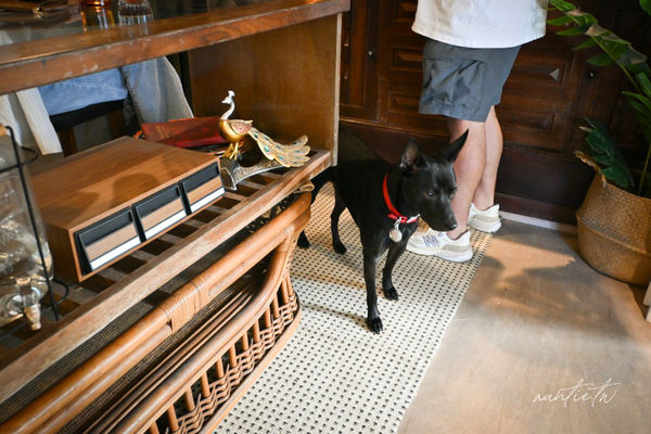 ▲▼渡深。(圖/部落客水晶安蹄不務正業過生活授權提供)