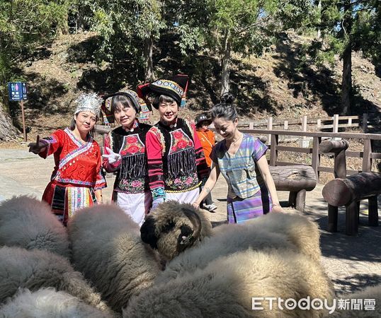 ▲首屆「雲嶺奔羊會」登場,萬羊奔馳嗨翻清境高山草原。(圖/清境農場提供)