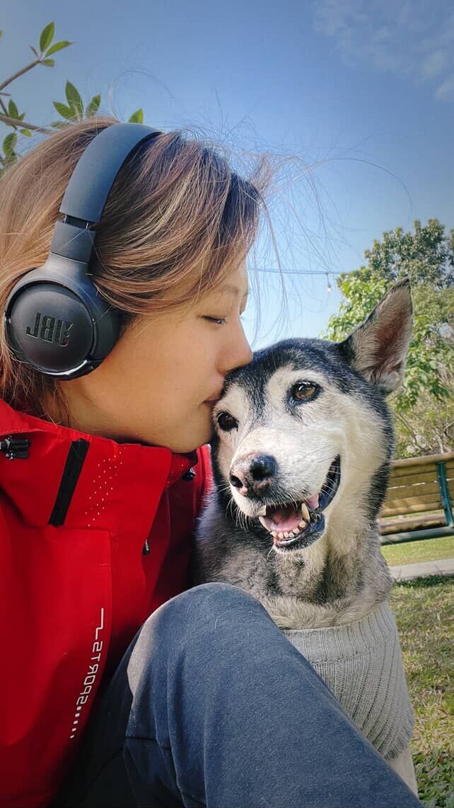 ▲鄰搬家棄養!浪汪下身癱瘓 收養十年不停旅行:讓牠也能感受世界。(圖/小花黑金就是「黃hanajin」提供,請勿隨意翻拍,以免侵權。)
