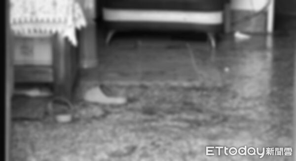 ▲台中砍人案,23歲男砍2鄰居後,坐屋內等警察來 。(圖/記者許權毅攝,下同)