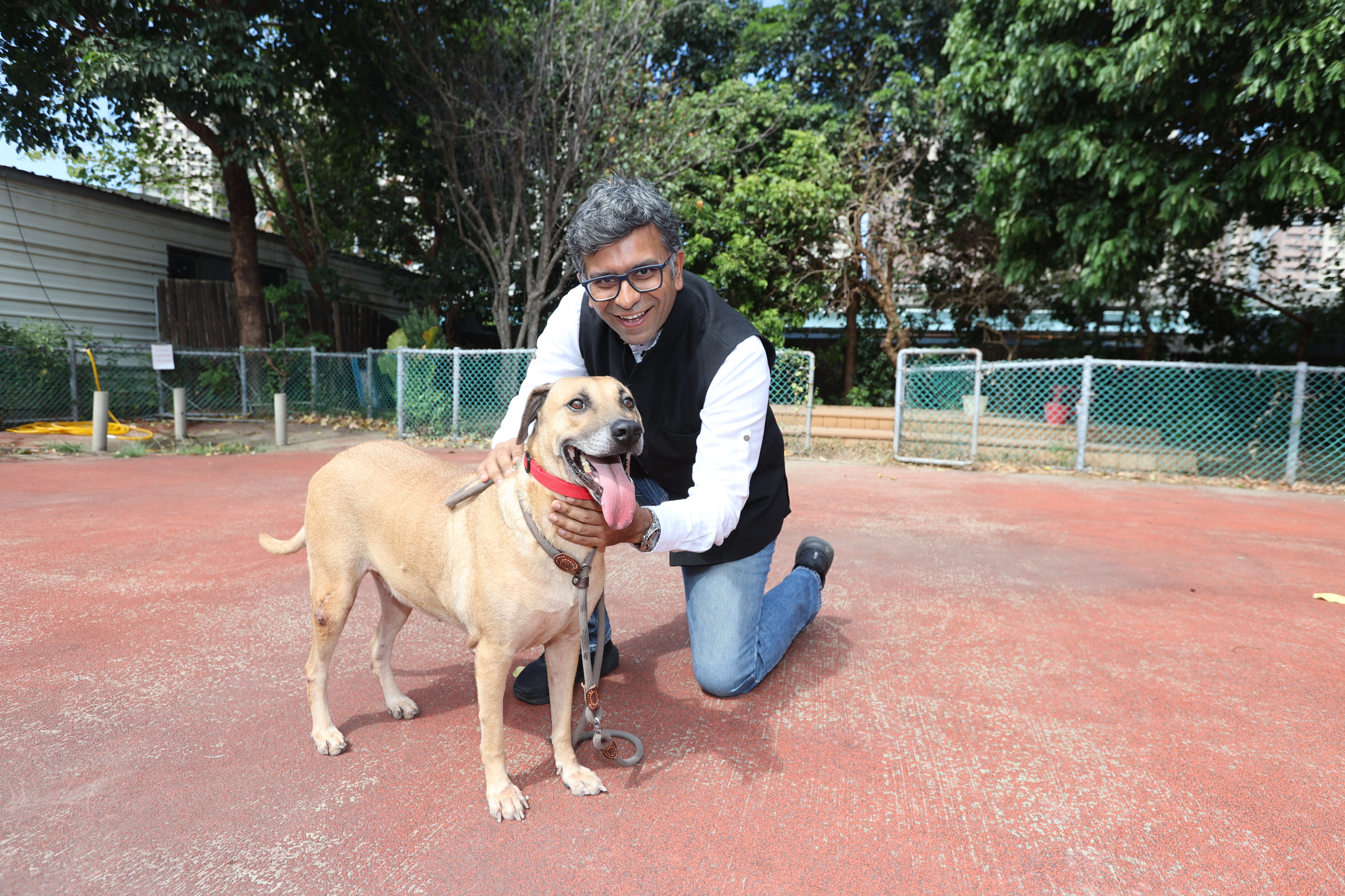 ▲▼ 東森寵物捐飼料新北市流浪動物之家 。(圖/記者徐文彬攝)