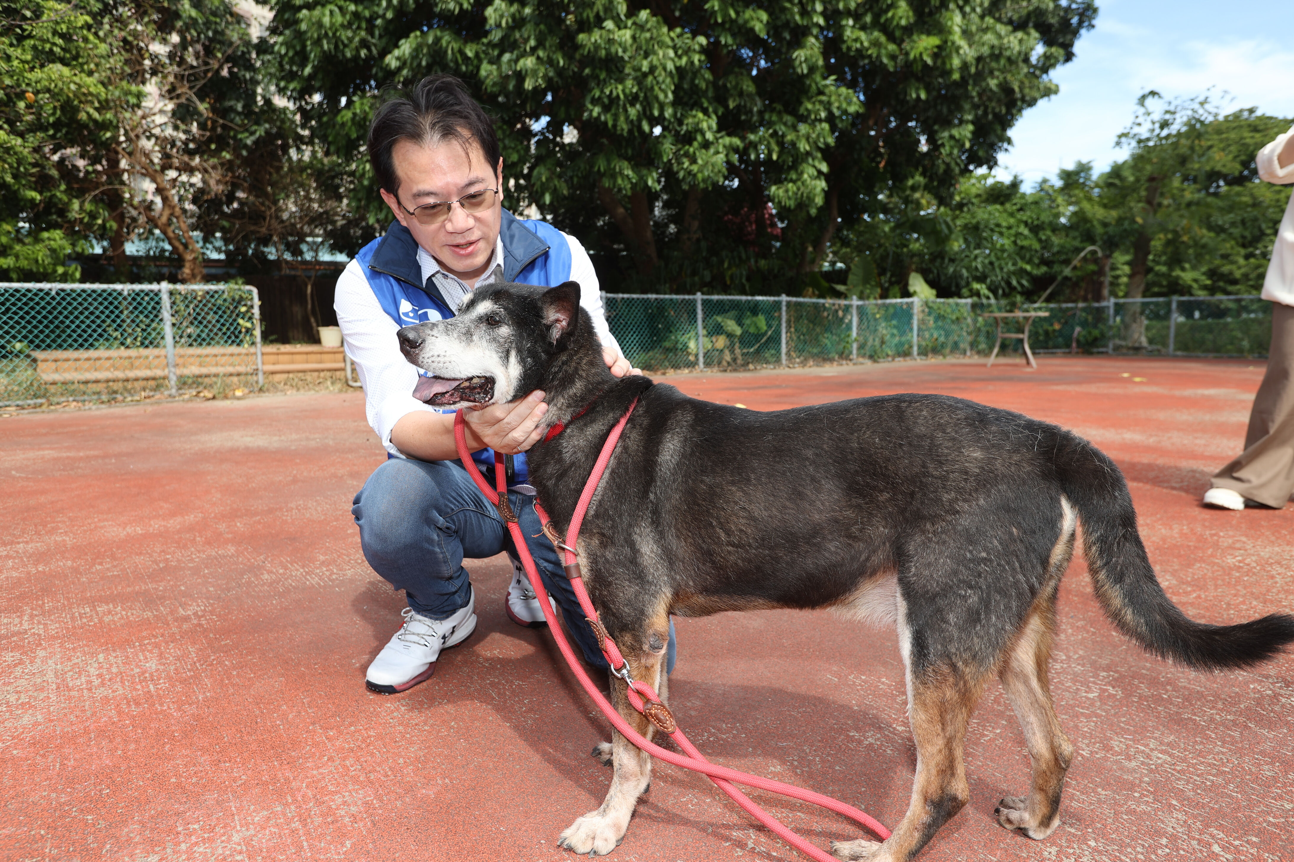 ▲▼ 東森寵物捐飼料新北市流浪動物之家 。(圖/記者徐文彬攝)