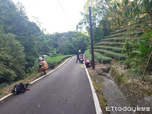 ▲新北坪林小貨車墜落山谷,警消人員正協助駕駛脫困中。(圖/記者陸運陞翻攝)