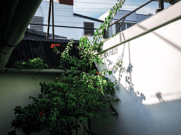 ▲▼花蓮新城景點「新城照相館」!走進時光深處的歷史照相館。(圖/部落客黑皮提供)