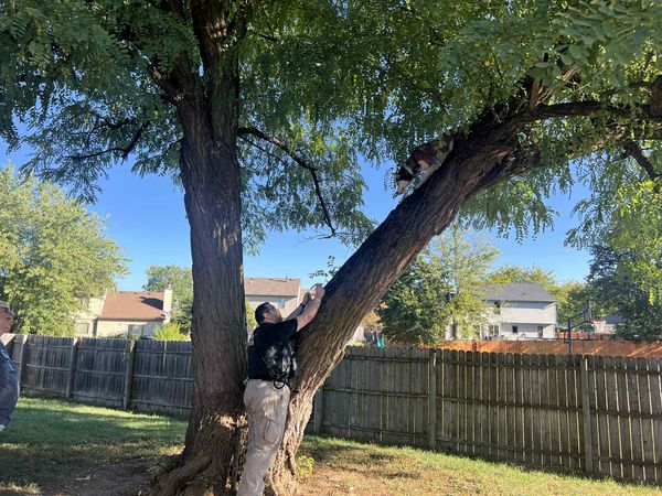 ▲。(圖/翻攝自Facebook/Fort Wayne Animal Care & Control )