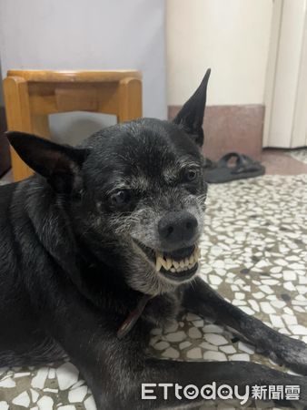 ▲。(圖/Threads@jin_0215_提供,請勿隨意翻拍,以免侵權。)