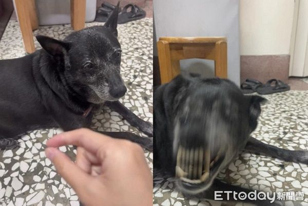 ▲。(圖/Threads@jin_0215_提供,請勿隨意翻拍,以免侵權。)