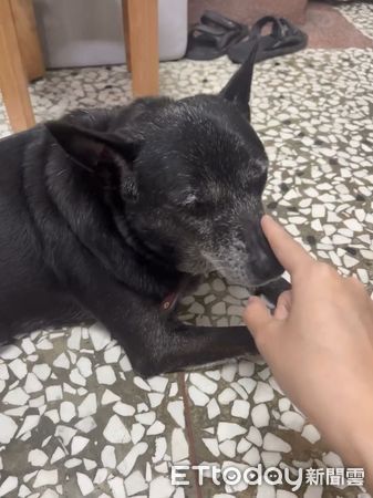 ▲。(圖/Threads@jin_0215_提供,請勿隨意翻拍,以免侵權。)