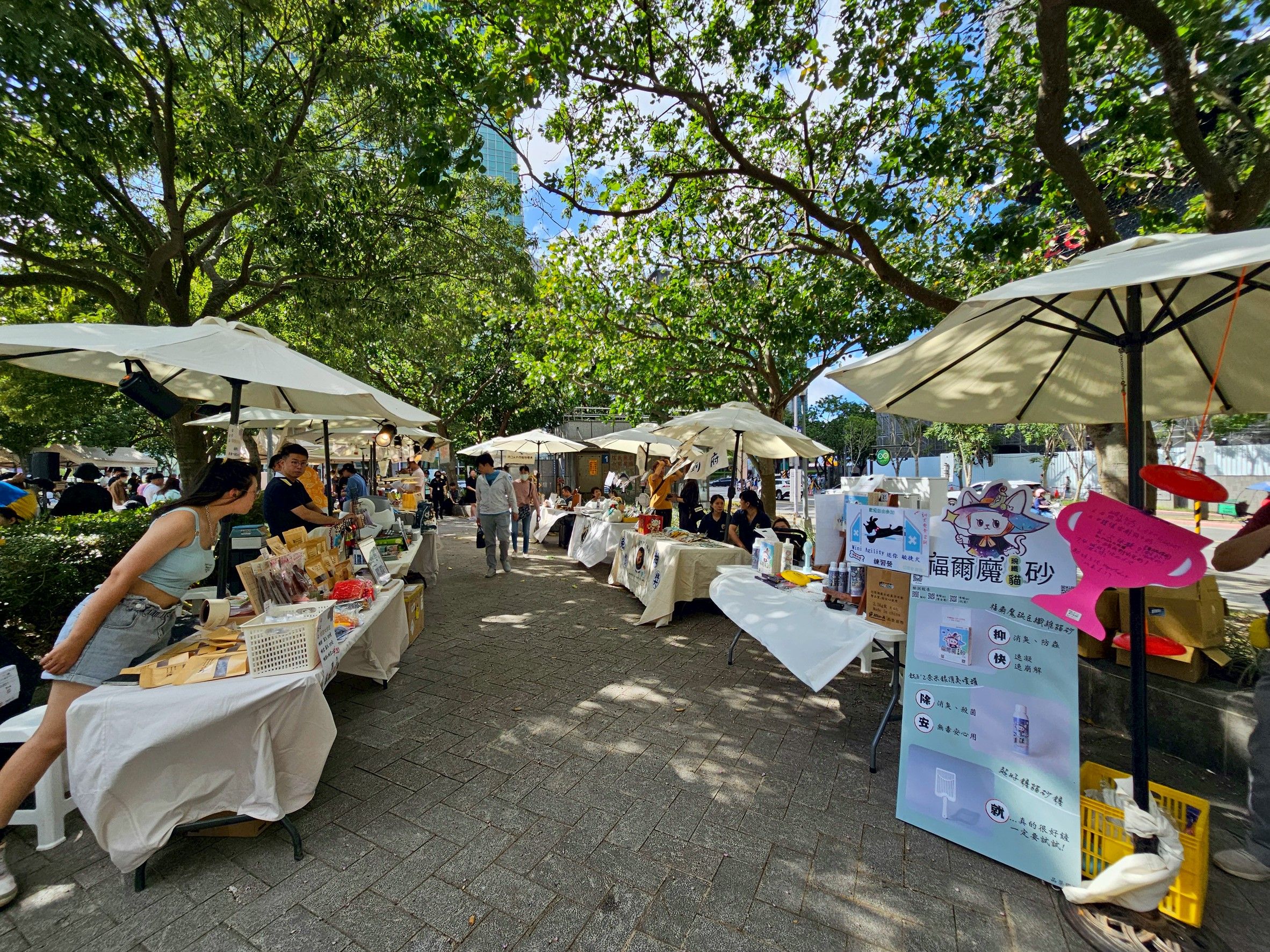 ▲2025台北狗狗運動嘉年華 「20隻柯基」PK大賽!小短腿跑超快(圖/台北市動物保護處提供,請勿隨意翻拍,以免侵權。)