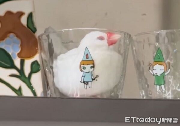 ▲。(圖/Threads@yhxxpi提供,請勿隨意翻拍,以免侵權。)