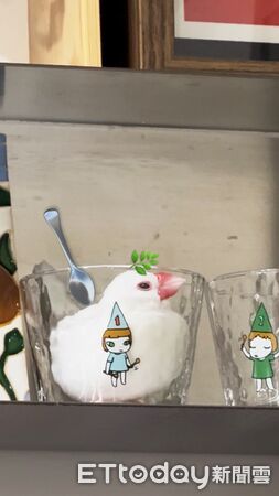 ▲。(圖/Threads@yhxxpi提供,請勿隨意翻拍,以免侵權。)