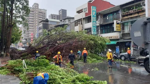 ▲北市大同區昌吉街路樹因風雨倒塌,警方呼籲民眾減速慢行通過 。(圖/記者張君豪翻攝)