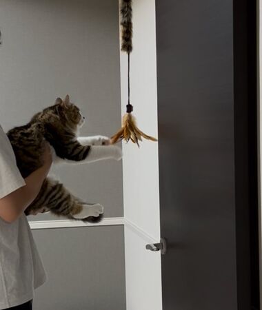 ▲。(圖/翻攝自X/@hotanyan)