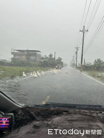 ▲。(圖/網友江婉瑈提供,請勿隨意翻拍,以免侵權。)