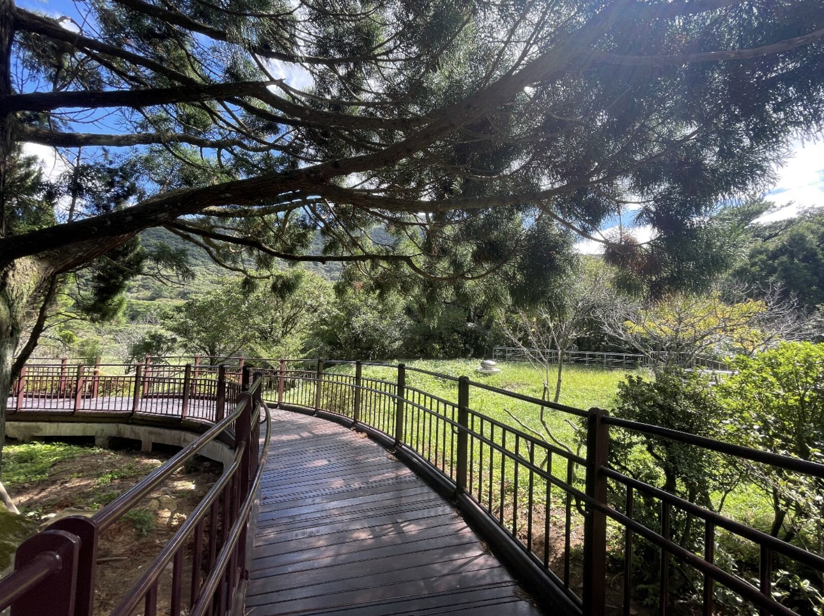 ▲陽明山的大屯自然公園已於10月16日重新開放。(圖/陽管處提供)