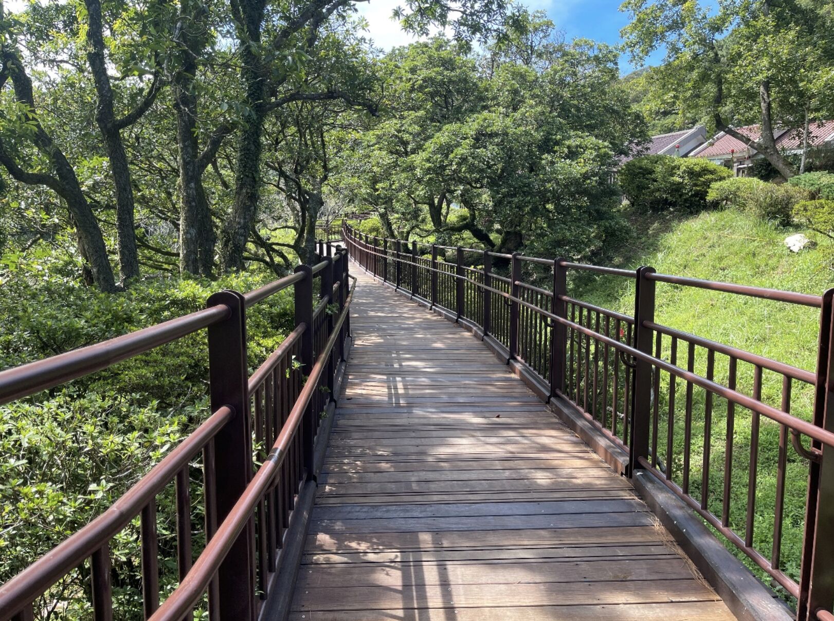 ▲陽明山的大屯自然公園已於10月16日重新開放。(圖/陽管處提供)