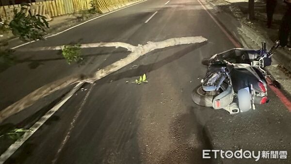 ▲▼ 路上突現巨大斷枝!高雄19歲騎士閃不及猛撞慘摔 手腳掛彩。(圖/記者賴文萱翻攝)