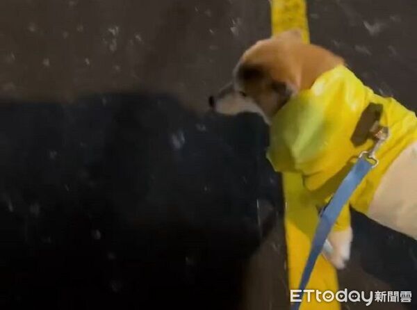 ▲。(圖/Threads@yuyuuu0115提供,請勿隨意翻拍,以免侵權。)