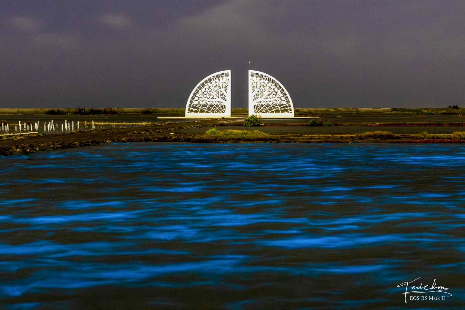 ▲▼台南生命之樹出現藍眼淚。(圖/網友 Ted Chen授權提供,請勿翻攝)