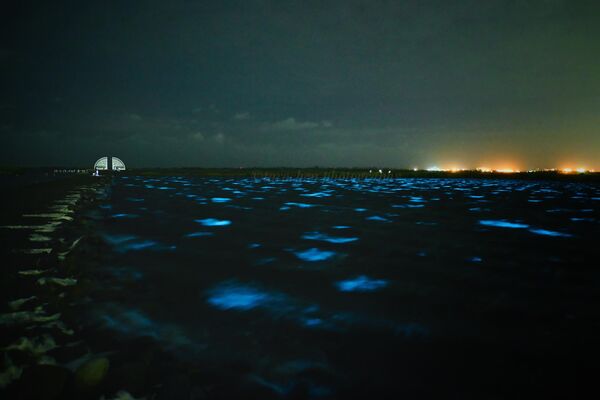 ▲▼ 。(圖/網友@tarotaro419 授權)