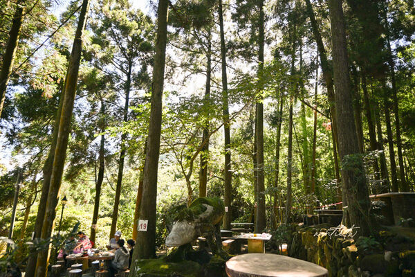 ▲▼竹湖土雞城。(圖/部落客水晶安蹄不務正業過生活授權提供)