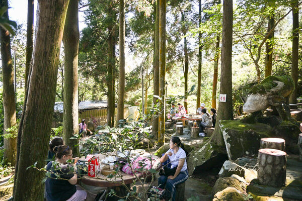 ▲▼竹湖土雞城。(圖/部落客水晶安蹄不務正業過生活授權提供)