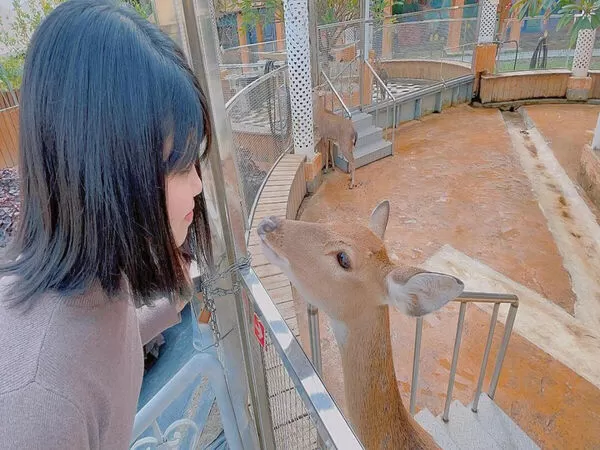 ▲▼精選彰化親子農場。(圖/ReadyGo提供)