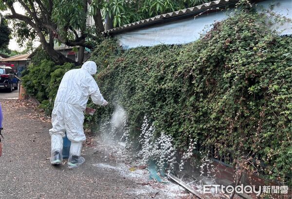 ▲農業局及動保處人員前往高風險廚餘養豬場稽查,場外撒佈生石灰築起防疫「護城河」。(記者林東良翻攝,下同)