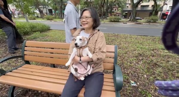 ▲▼前總統蔡英文在北市街頭遛樂樂與鳳梨妹,並向參與同志遊行之群眾揮手致意。(圖/蔡英文辦公室提供)