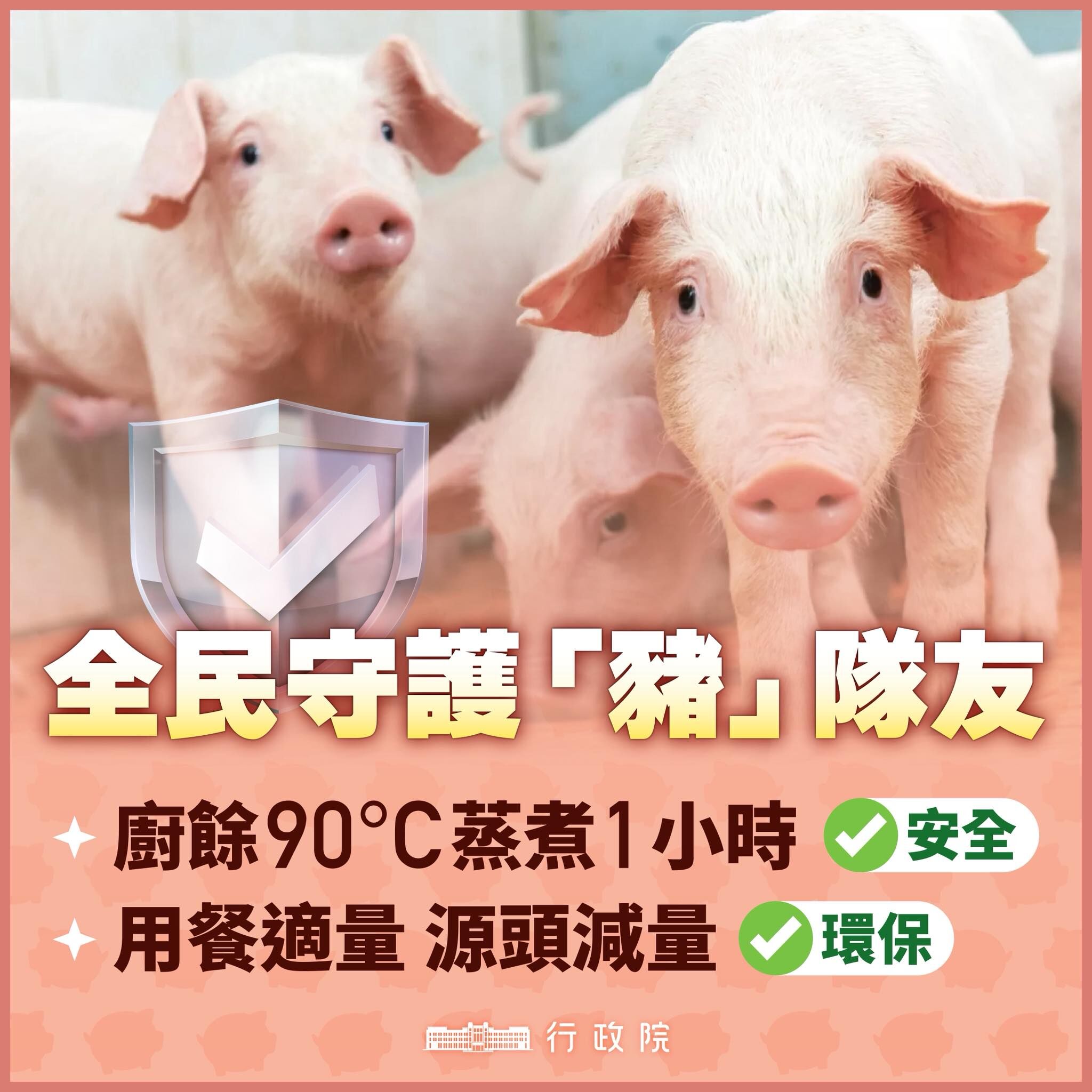 ▲▼行政院發言人李慧芝表示,根據世界動物衛生組織規定,廚餘只要以90度高溫蒸煮1小時,就能用來餵豬。(圖/翻攝臉書/行政院發言人)