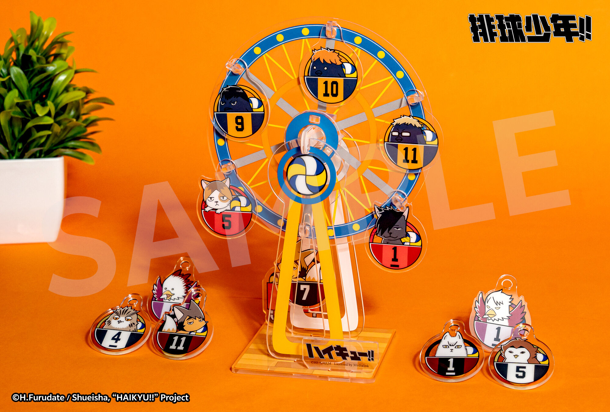 ▲《排球少年!!》、《防風少年》快閃店。(圖/各業者提供)