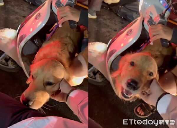 ▲。(圖/Threads@ul6aj4cp6_0518提供,請勿隨意翻拍,以免侵權。)