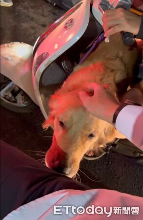 ▲。(圖/Threads@ul6aj4cp6_0518提供,請勿隨意翻拍,以免侵權。)