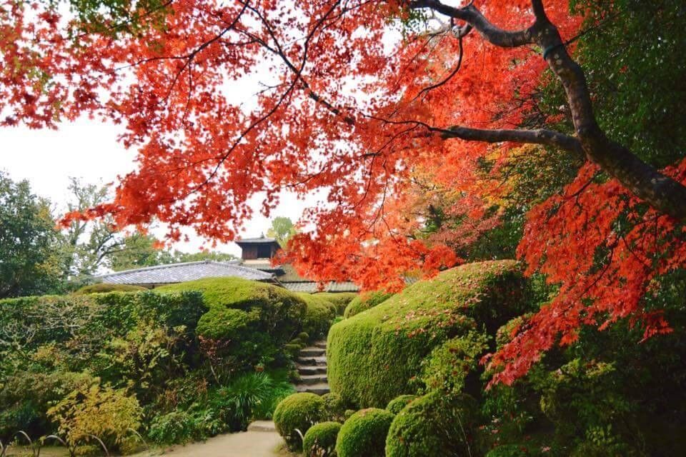 ▲▼ 旅遊,中華電信,原號漫遊,抽獎,網路,漫遊,東京,機票。(圖/品牌提供)