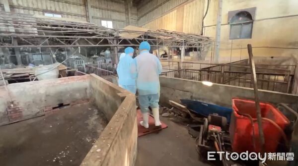 ▲非洲豬瘟養豬場。(圖/記者游瓊華翻攝)