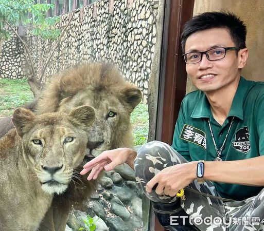 ▲壽山動物園明星動物非洲獅「大姊」本月癌逝 。(圖/壽山動物園提供)