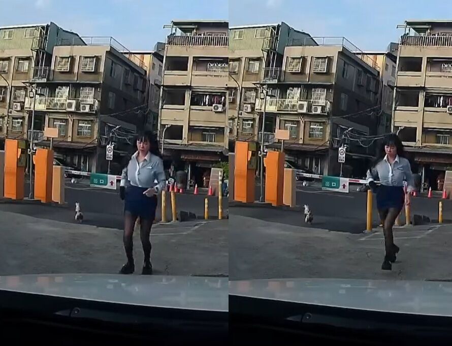▲徐姓女業務繳停車費突被白公雞猛追,嚇得拔腿狂奔。(圖/翻攝自Threads/yian422)